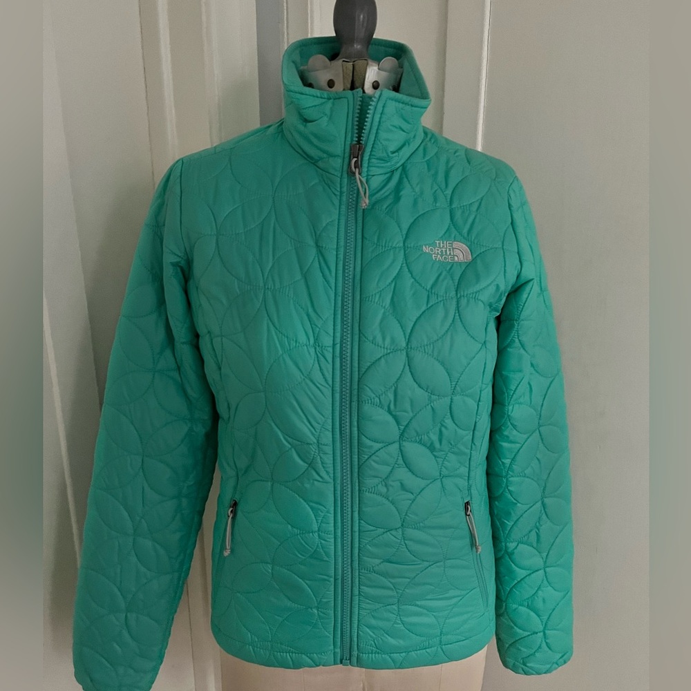 The North Face Puffer Jacket in Mint